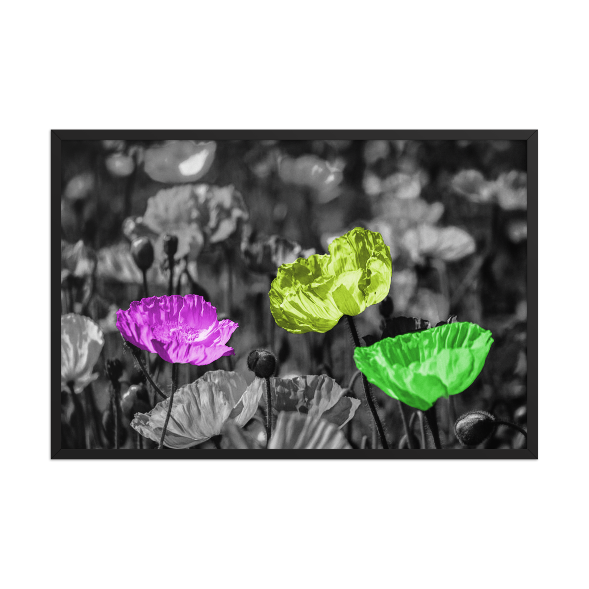 The Outsiders | Digital Painting | Framed Poster | Paint & Pixel |  |   |  Paint & Pixel