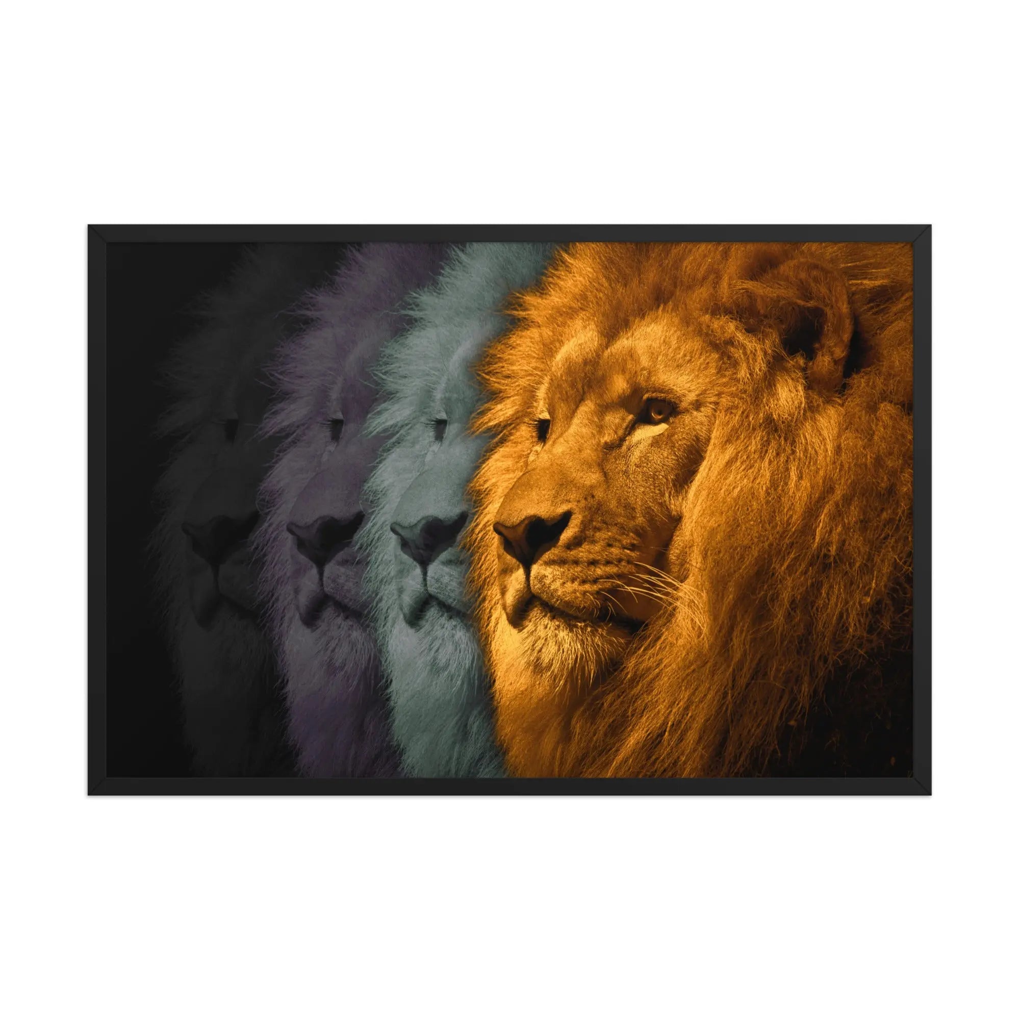 Lion's Shadows | Digital Painting | Framed Poster | Paint & Pixel |  |   |  Paint & Pixel