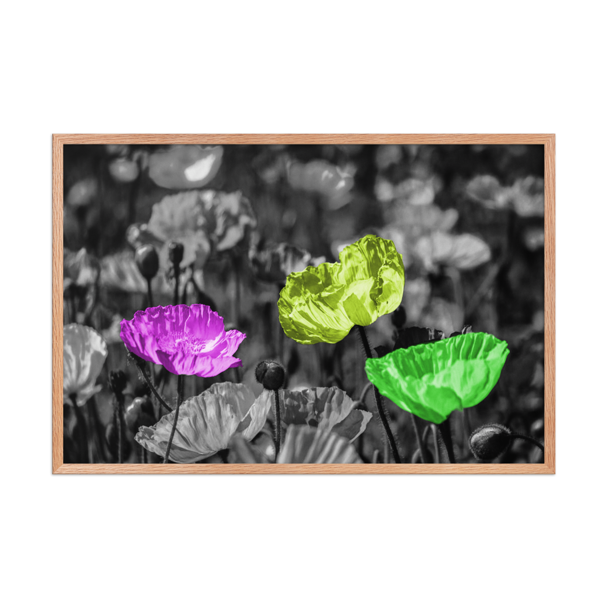 The Outsiders | Digital Painting | Framed Poster | Paint & Pixel |  |   |  Paint & Pixel