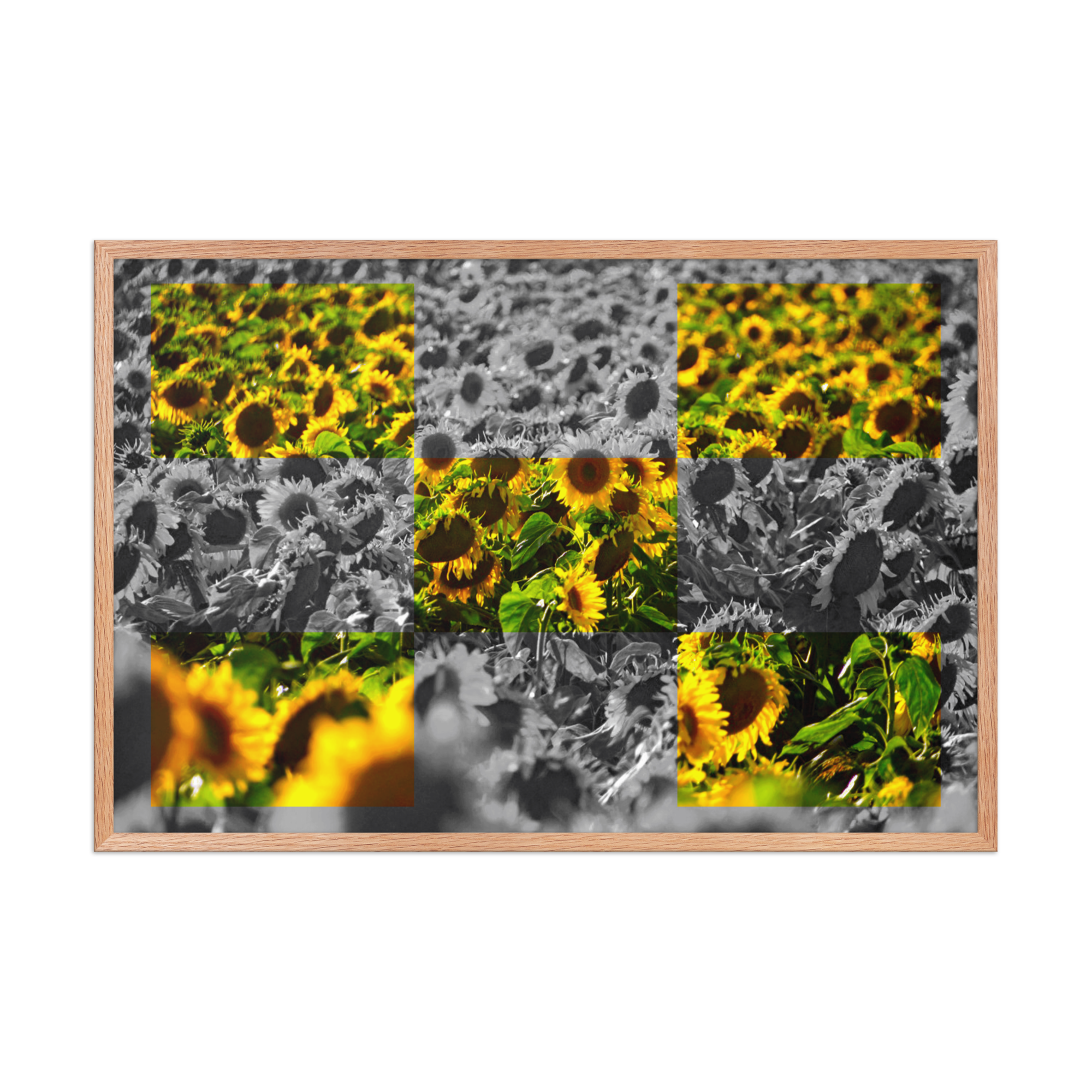 Sunflower Lattice | Digital Painting | Framed Poster | Paint & Pixel |  |   |  Paint & Pixel