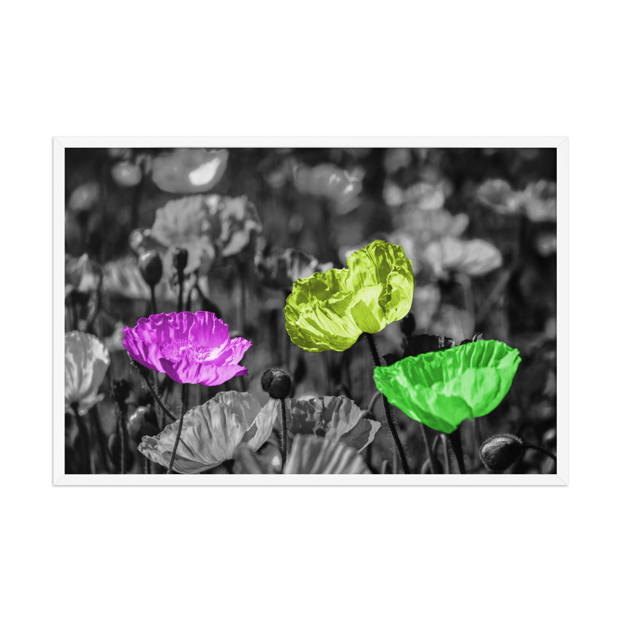 The Outsiders | Digital Painting | Framed Poster | Paint & Pixel |  |   |  Paint & Pixel