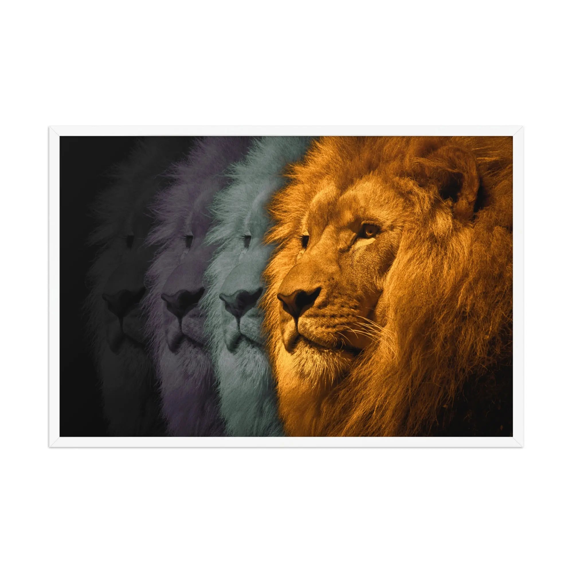 Lion's Shadows | Digital Painting | Framed Poster | Paint & Pixel |  |   |  Paint & Pixel