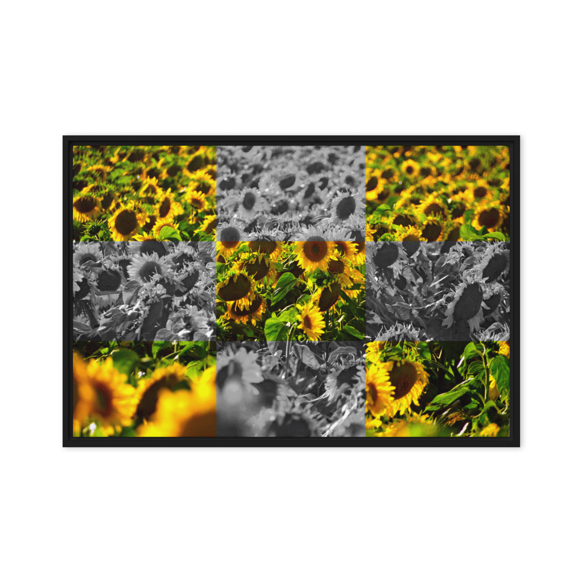 Sunflower Lattice | Digital Painting | Framed Canvas | Paint & Pixel |  |   |  Paint & Pixel