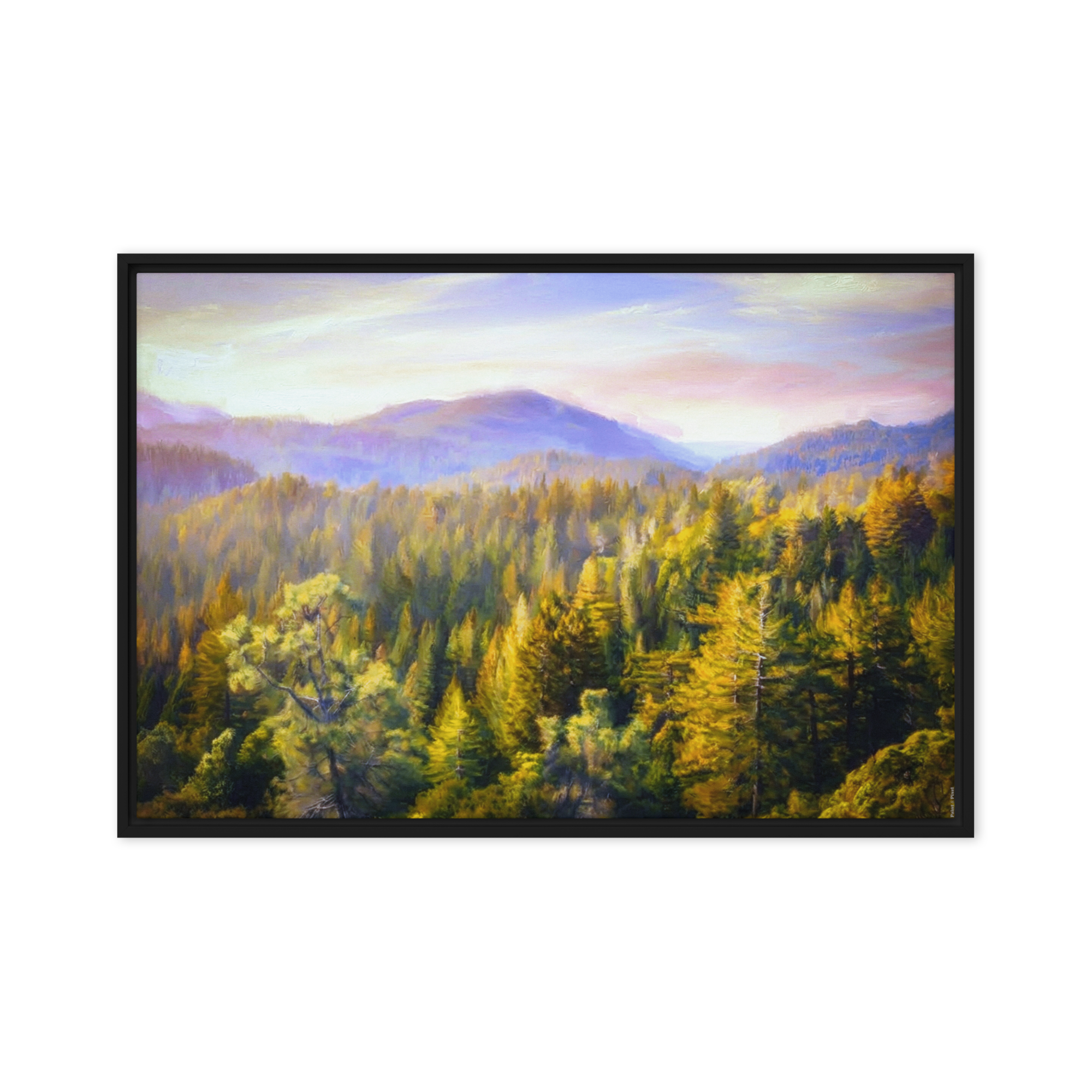 Golden Forest | Digital Painting | Framed Canvas | Paint & Pixel |  |   |  Paint & Pixel