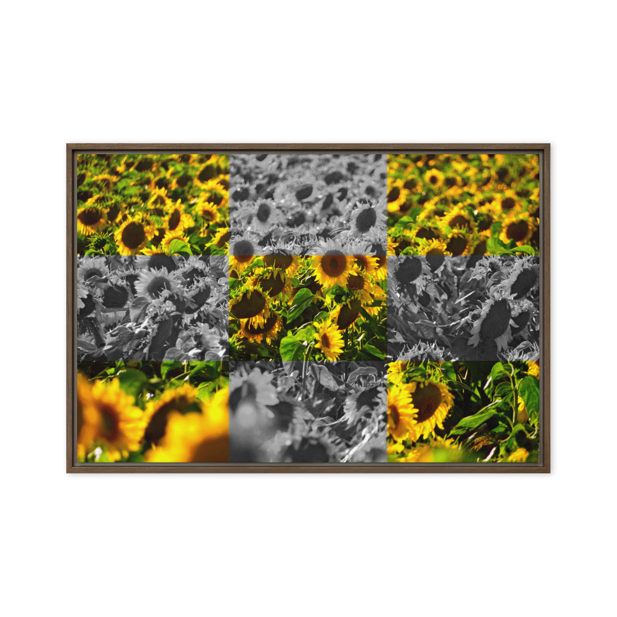 Sunflower Lattice | Digital Painting | Framed Canvas | Paint & Pixel |  |   |  Paint & Pixel