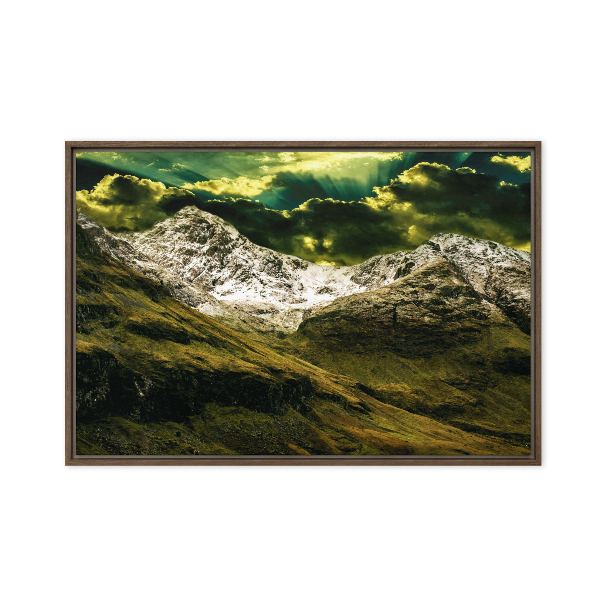 Looming White Beast | Digital Painting | Framed Canvas | Paint & Pixel |  |   |  Paint & Pixel