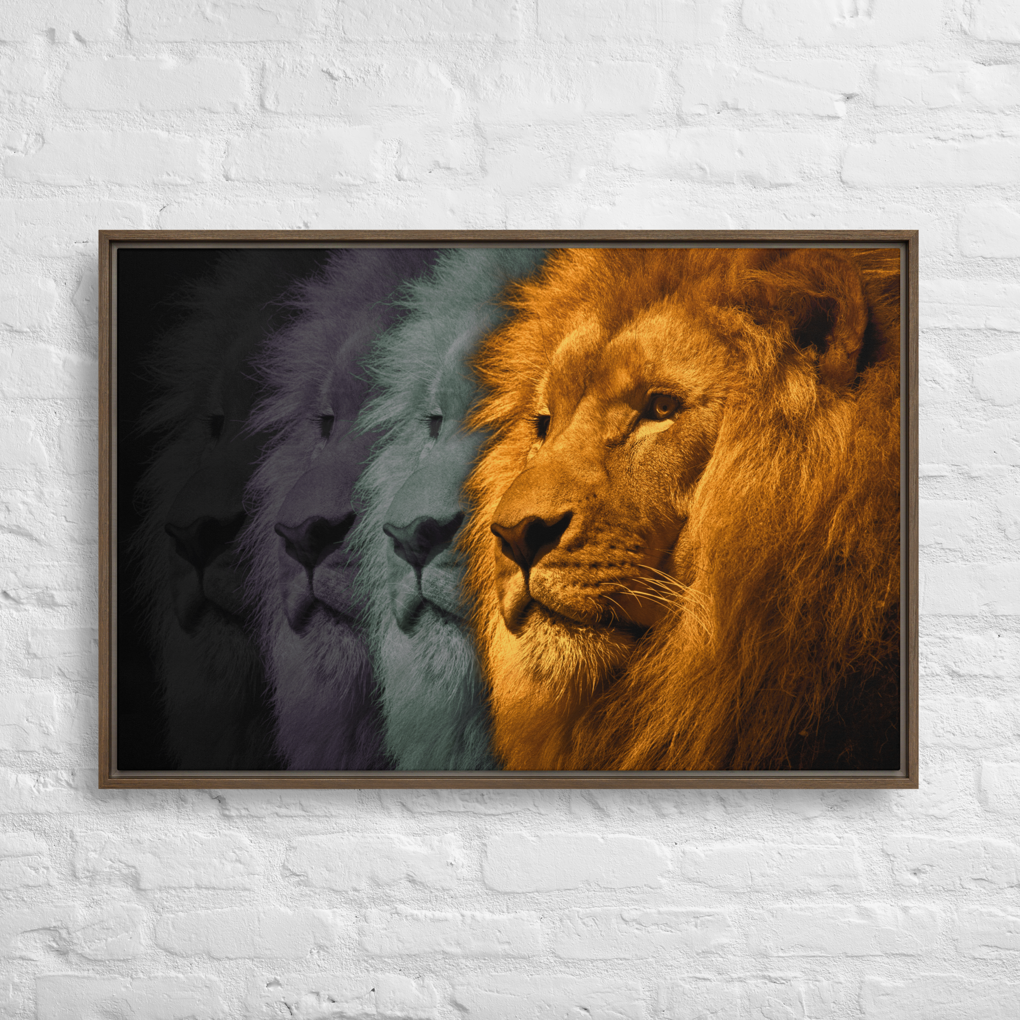 Lion's Shadows | Digital Painting | Framed Canvas | Paint & Pixel |  |   |  Paint & Pixel