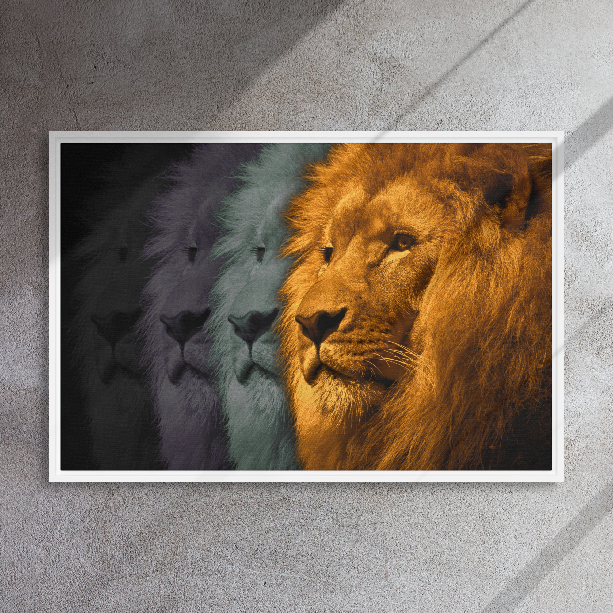 Lion's Shadows | Digital Painting | Framed Canvas | Paint & Pixel |  |   |  Paint & Pixel