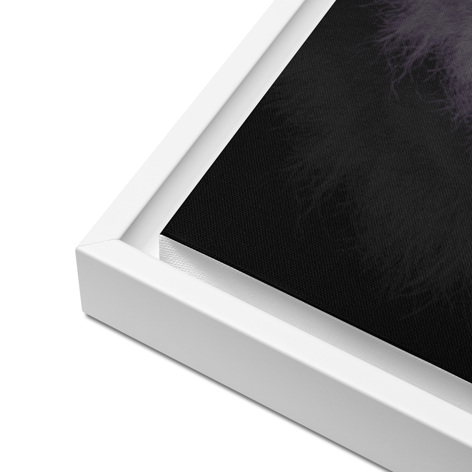 Lion's Shadows | Digital Painting | Framed Canvas | Paint & Pixel |  |   |  Paint & Pixel