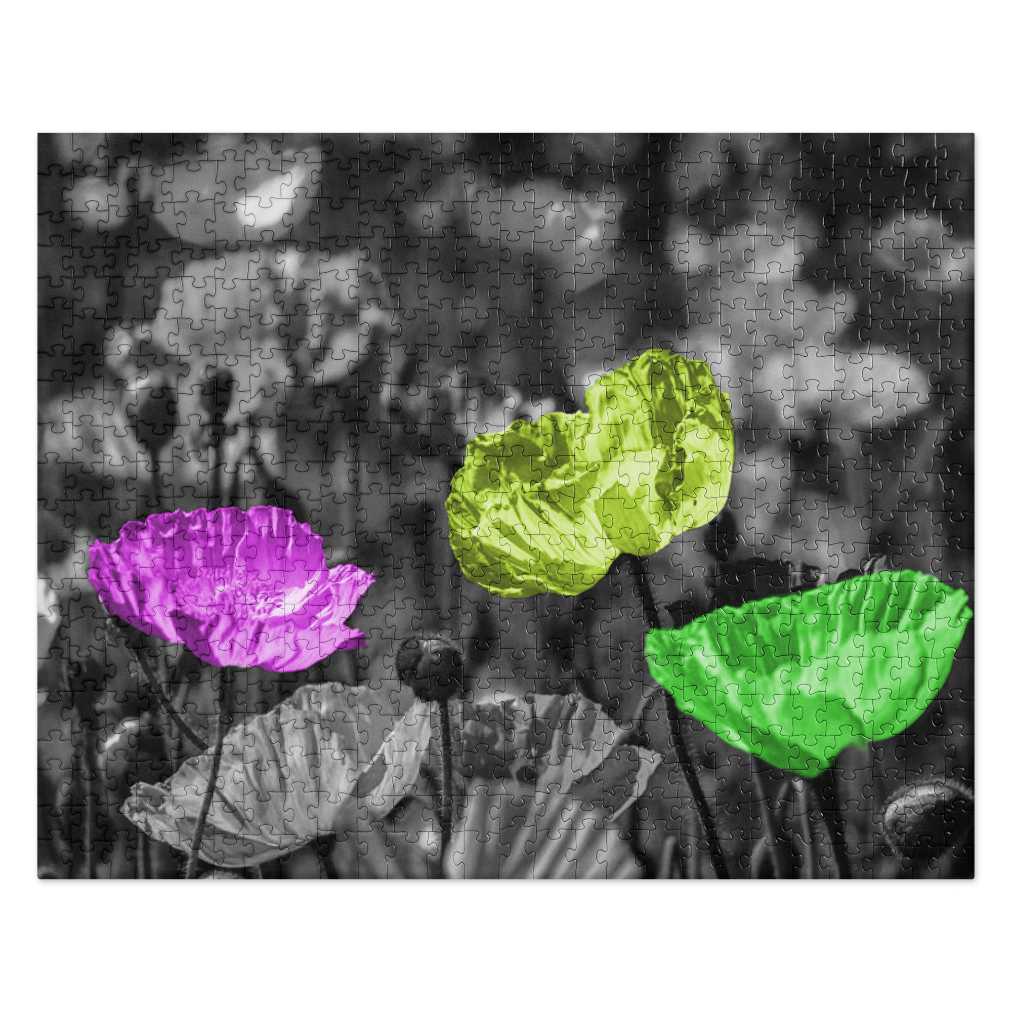 The Outsiders | Digital Painting | Jigsaw Puzzle | Paint & Pixel |  |   |  Paint & Pixel