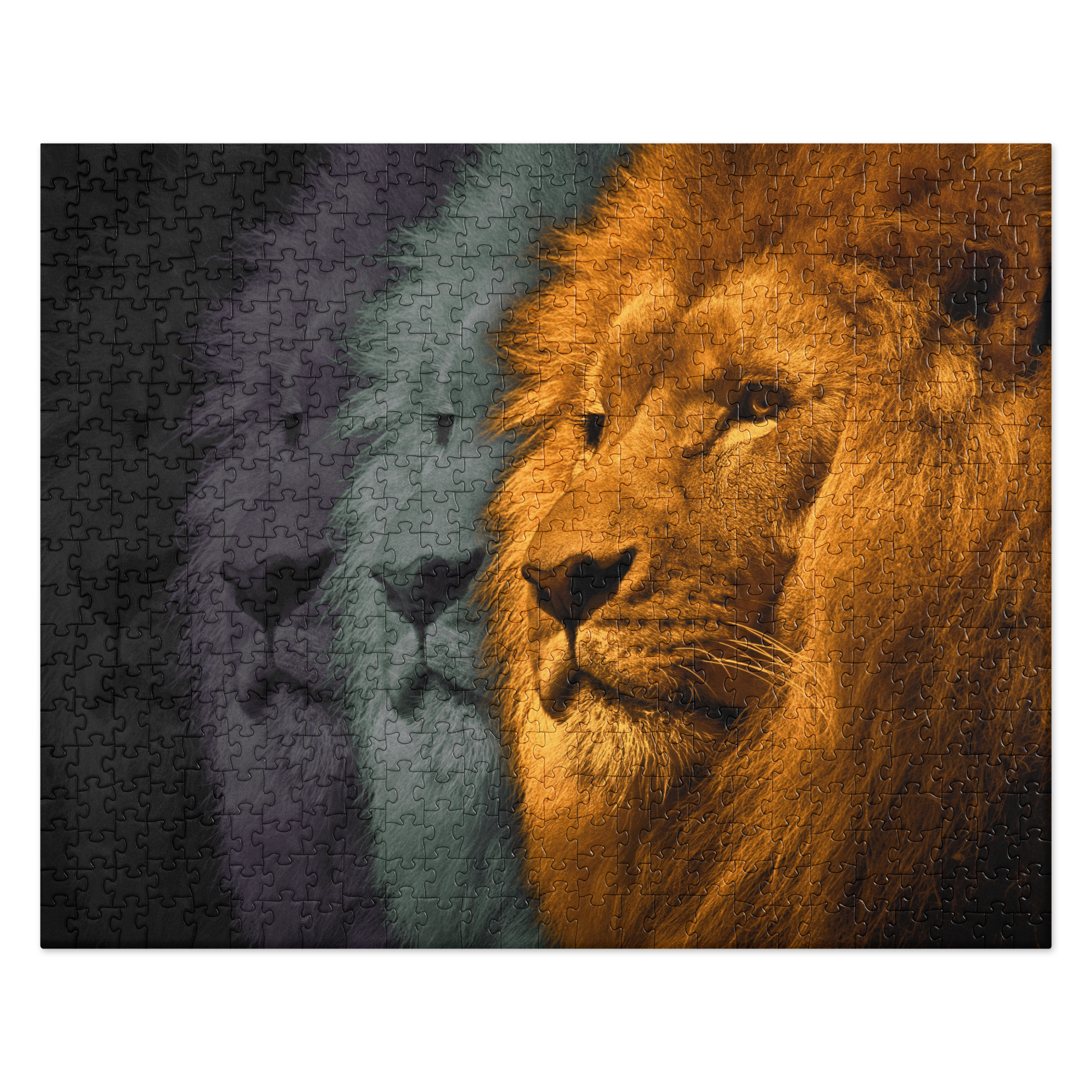 Lion's Shadows | Digital Painting | Jigsaw Puzzle | Paint & Pixel |  |   |  Paint & Pixel