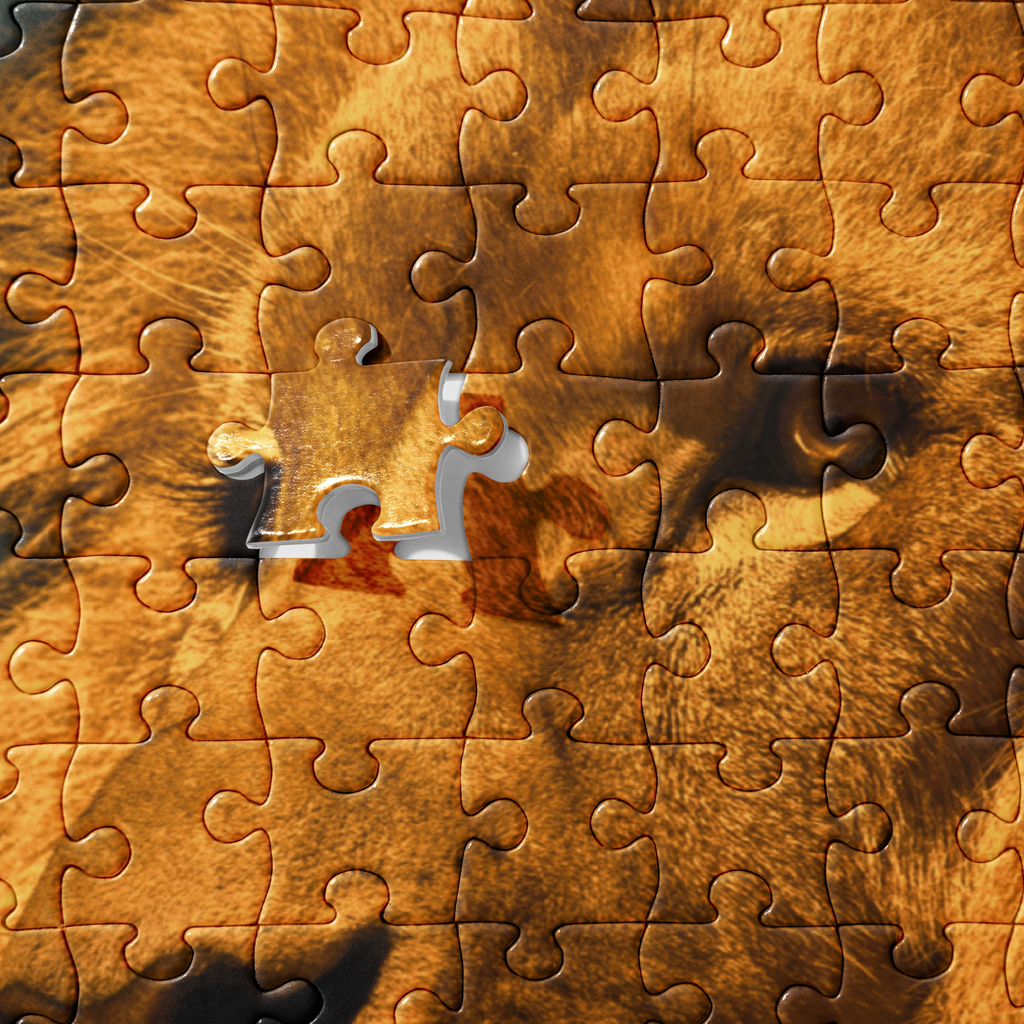 Lion's Shadows | Digital Painting | Jigsaw Puzzle | Paint & Pixel |  |   |  Paint & Pixel